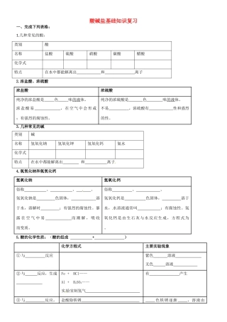 九年级化学下册 酸碱盐基础知识复习 粤教版试卷