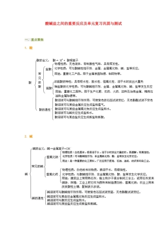 九年级化学酸碱盐之间的重要反应及单元复习巩固与测试试卷