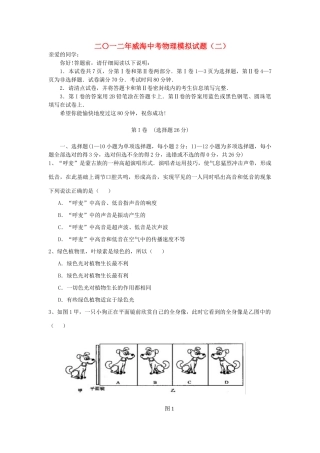 中考物理模拟试卷及答案二  人教新课标版试卷