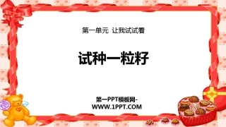 4-试种一粒籽-(4)