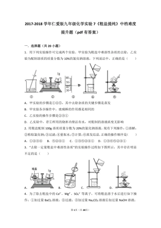 九年级化学下册 学生实验7(粗盐的提纯)中档难度提升题(pdf，含解析)(新版)湘教版试卷