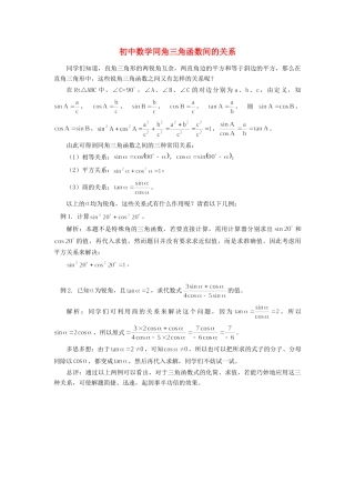 初中数学同角三角函数间的关系专题辅导 试题