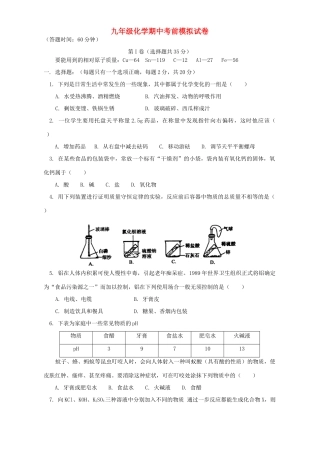 九年级化学期中考前模拟试卷 天津版试卷