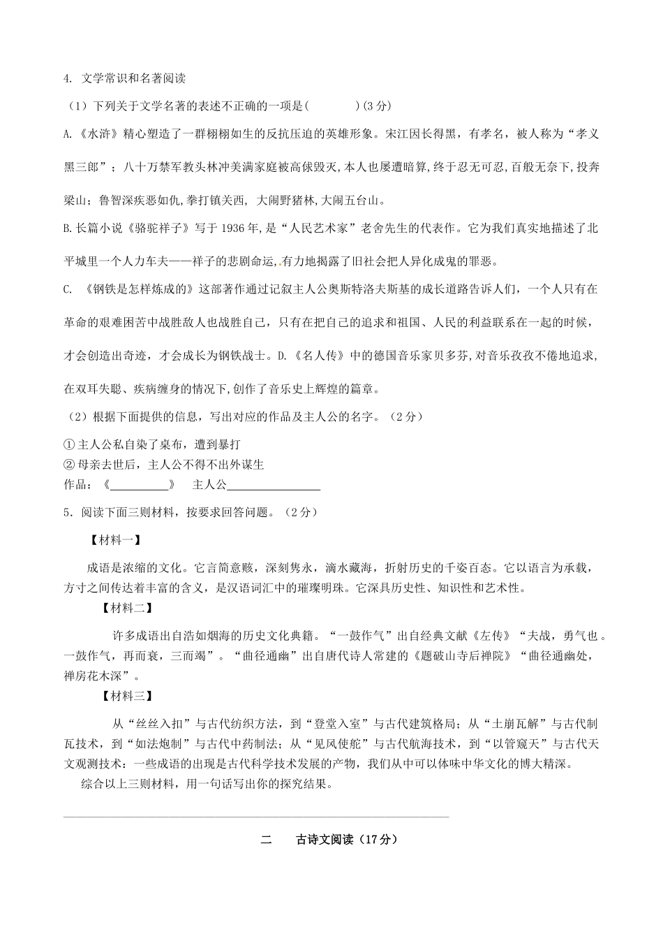 中考语文打靶卷试卷_第2页