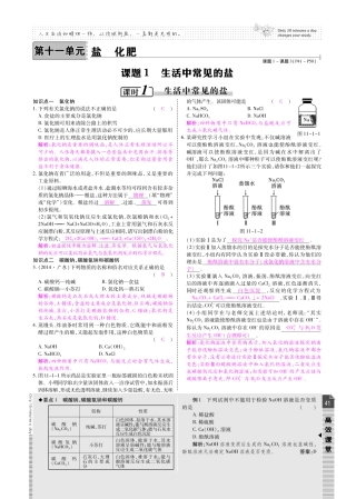 九年级化学下册 第十一单元 盐 化肥检测题(pdf)(新版)新人教版试卷
