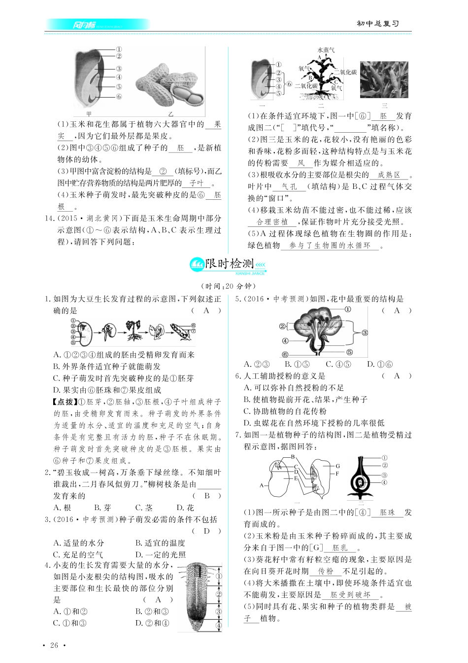 中考生物总复习 第四部分 生物圈中的绿色植物 专题六 绿色开花植物的一生真题试练及限时检测(pdf)试卷_第3页