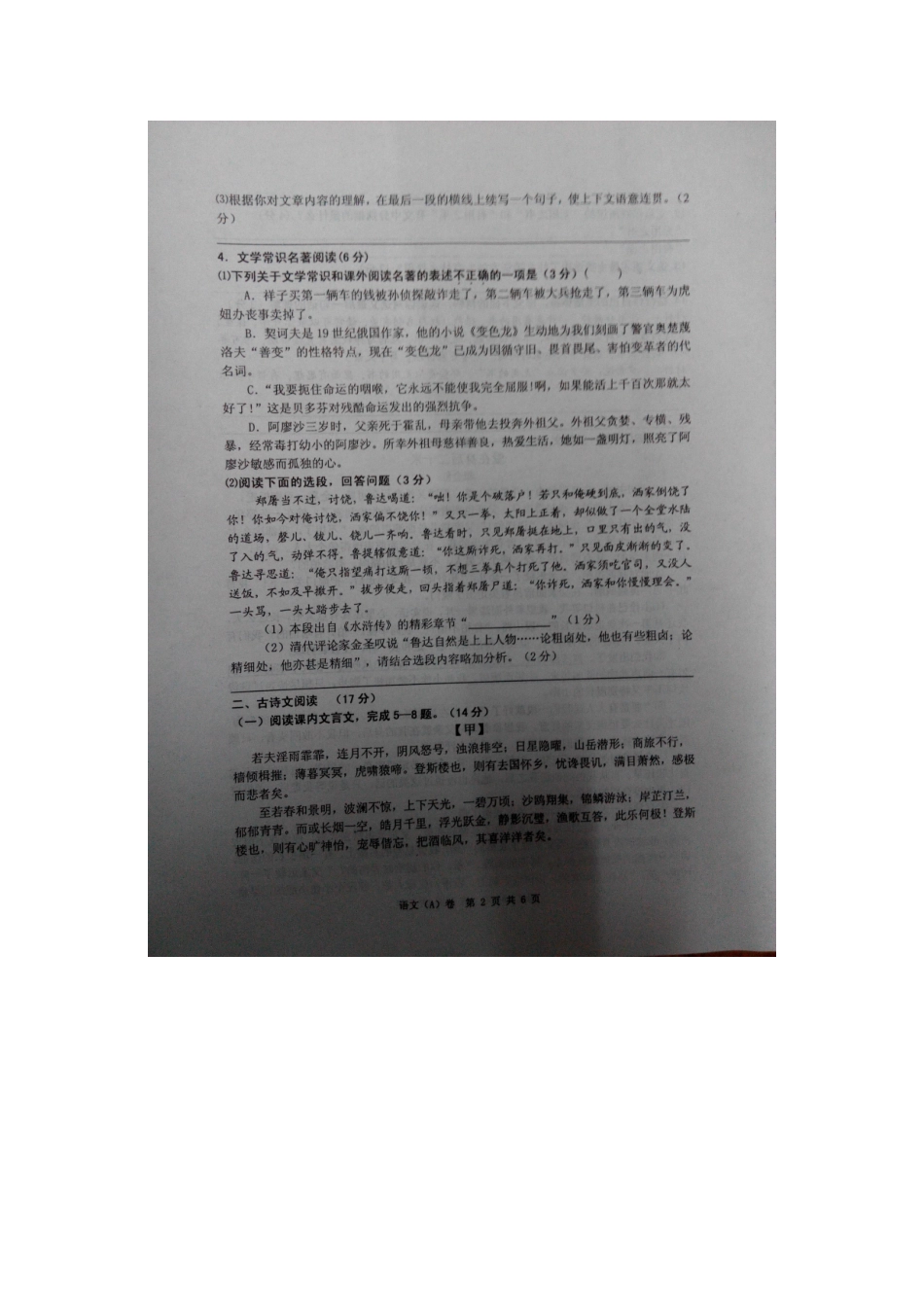 中考语文模拟靶卷(A卷)试卷_第2页
