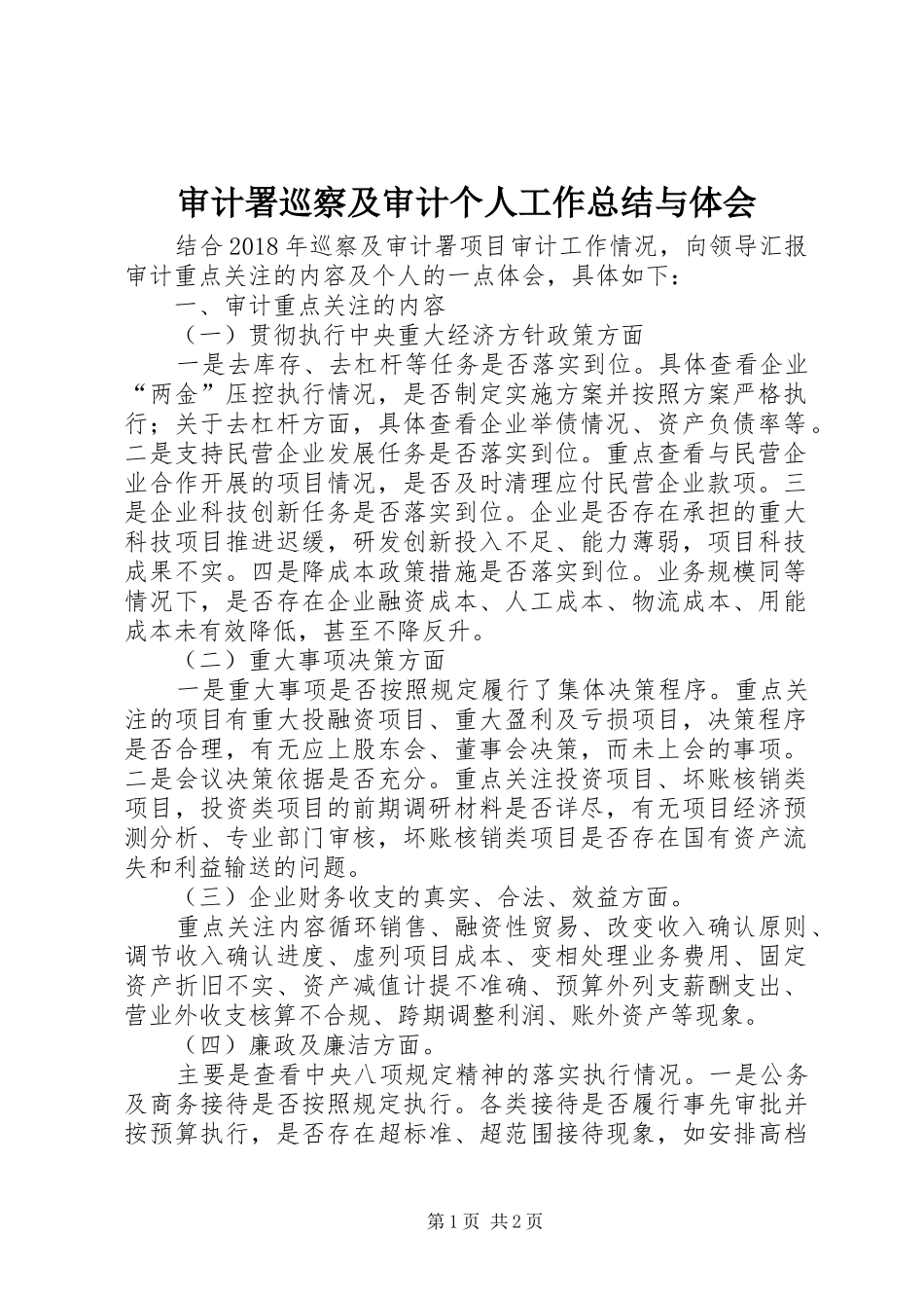 审计署巡察及审计个人工作总结与体会 _第1页
