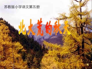 北大荒的秋天13