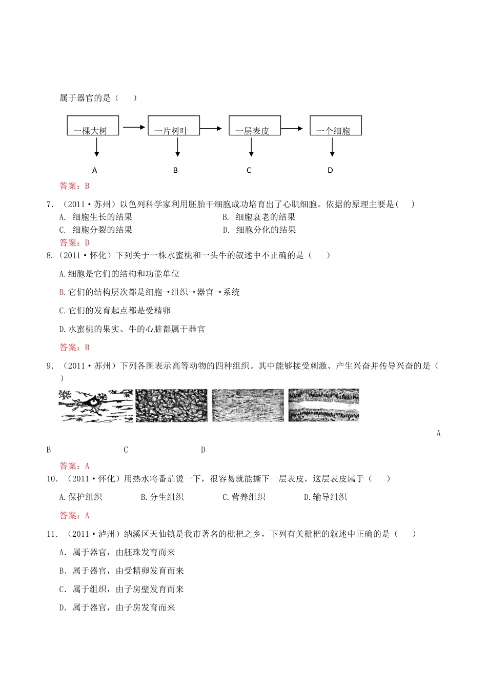 中考生物试卷分类集之三 生物体的结构层次试卷_第2页
