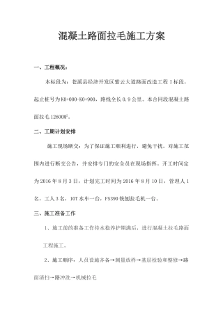 混凝土拉毛路面施工方案