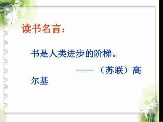 《绿野仙踪》康