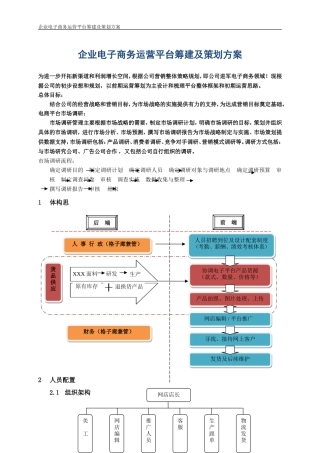 电子商务运营平台筹建及策划方案