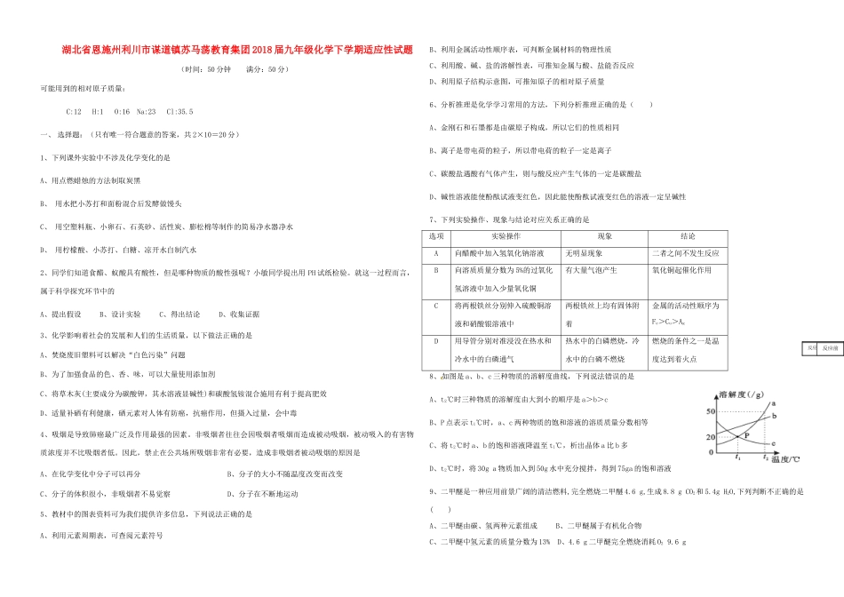 九年级化学下学期适应性试卷_第1页