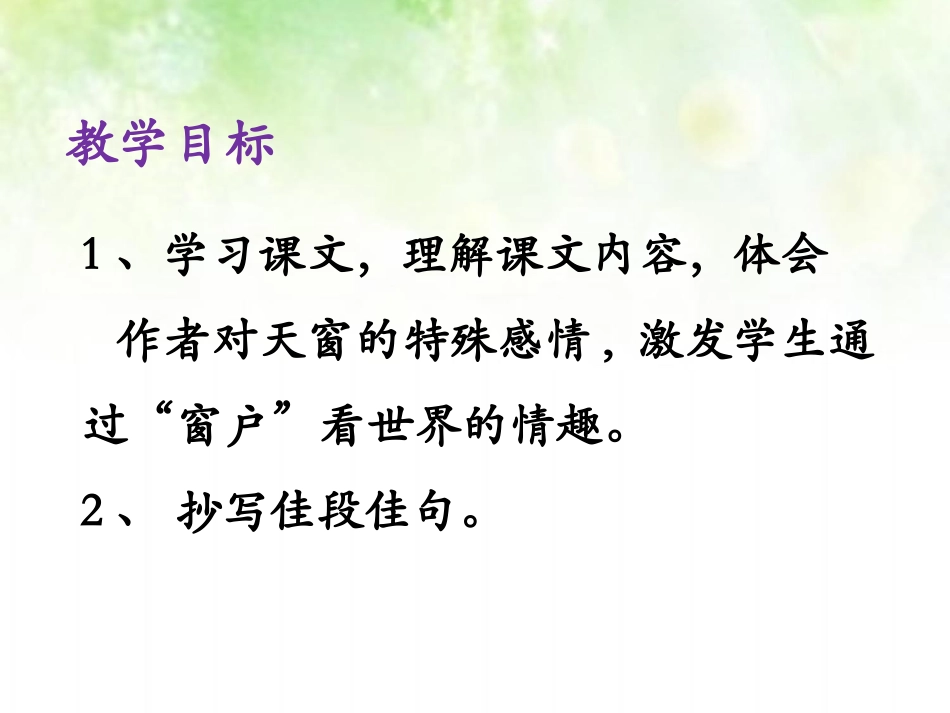 《天窗》课件2_第3页