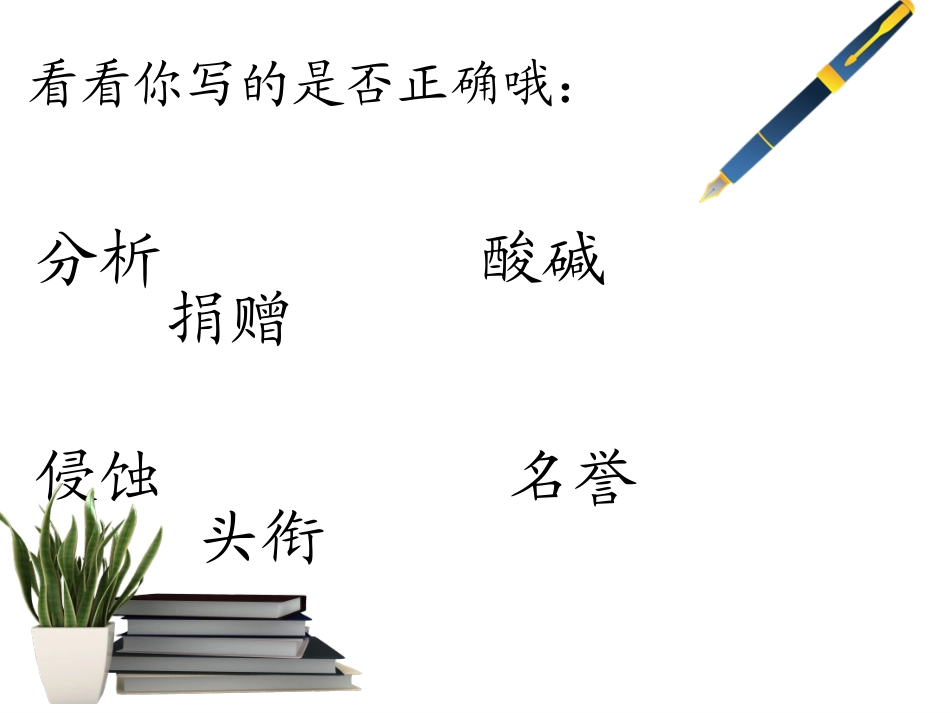 《跨越百年的美丽》课件-董彻_第1页