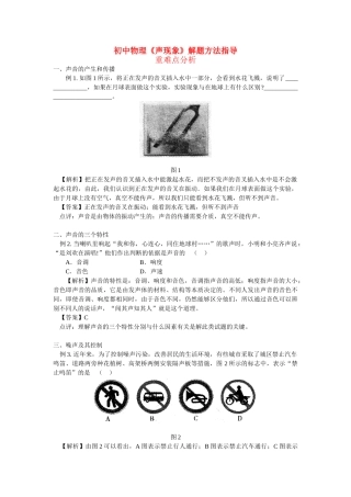 初中物理(声现象)解题方法指导学法指导 试题