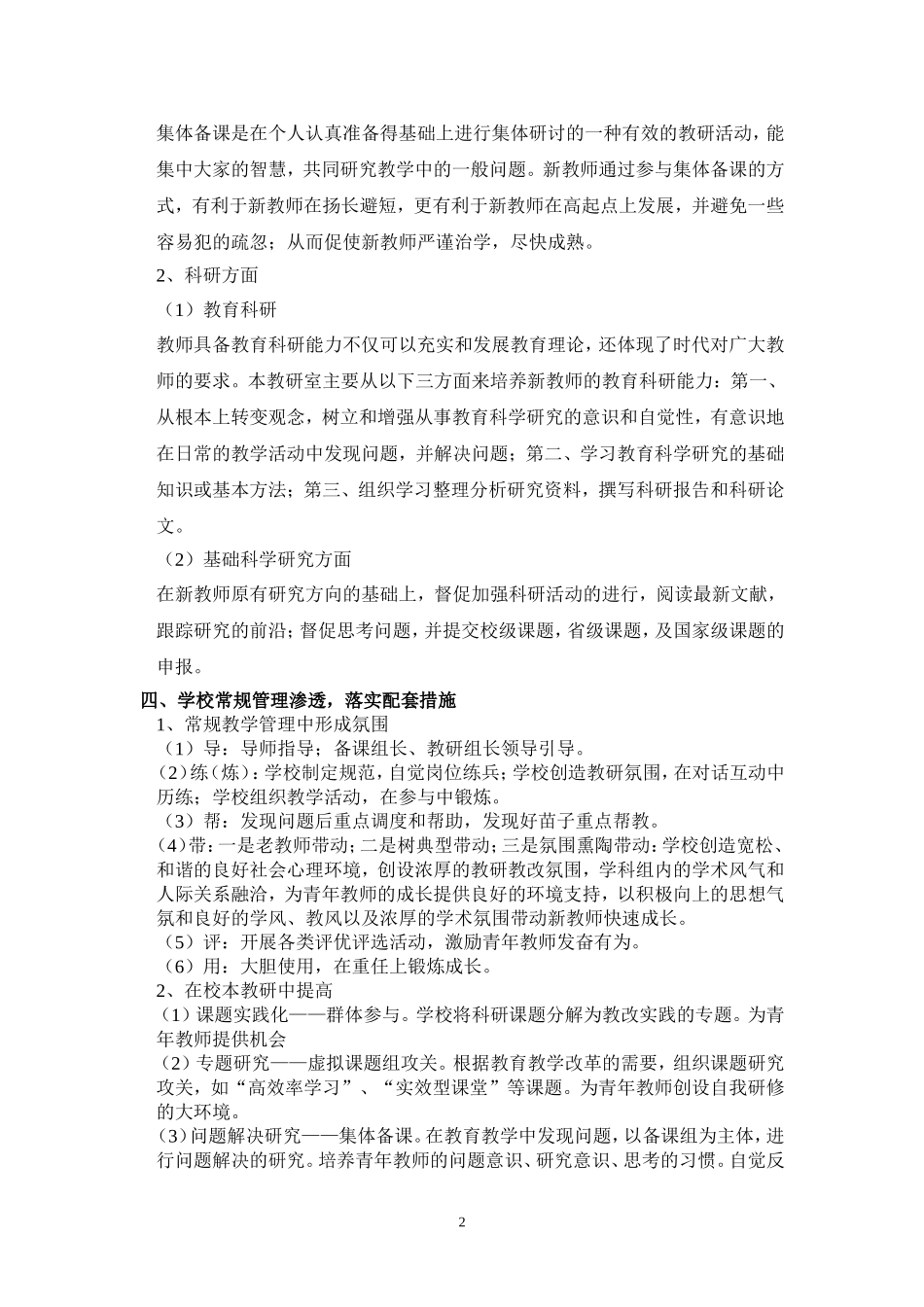 大学年轻教师培养计划_第2页