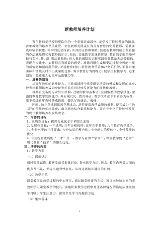 大学年轻教师培养计划
