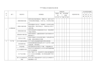 风险评估分析表