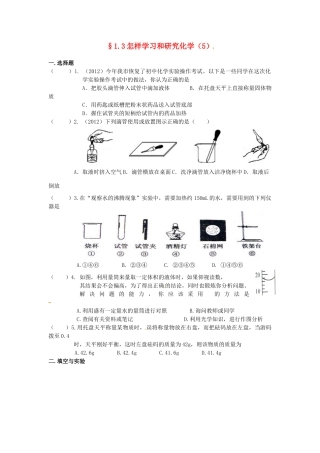 九年级化学(13 怎样学习和研究化学)限时作业(5) 沪教版试卷