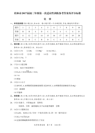 九年级化学下学期第一次适应性训练(中考模拟)试卷答案(pdf) 032932