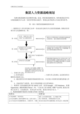 集团多元化公司人力资源战略规划