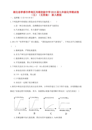 九年级化学测试卷(五) 新人教版试卷