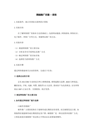 网络推广方案---京东
