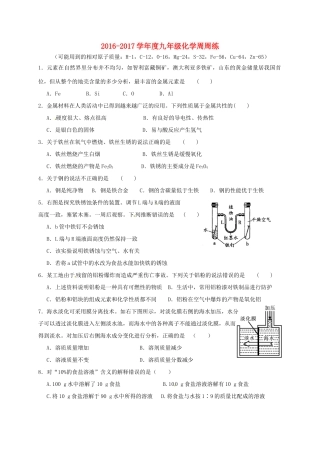 九年级化学周周练6(新版)沪教版试卷