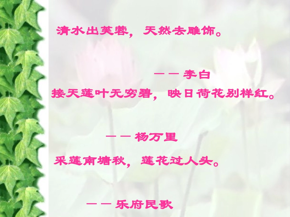 (部编)初中语文人教2011课标版七年级下册《爱莲所》课件_第2页