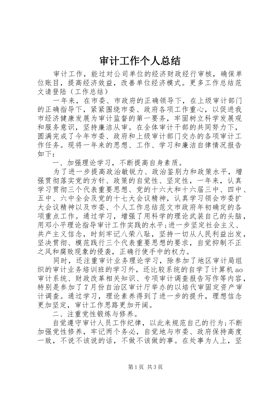 审计工作个人总结 _第1页