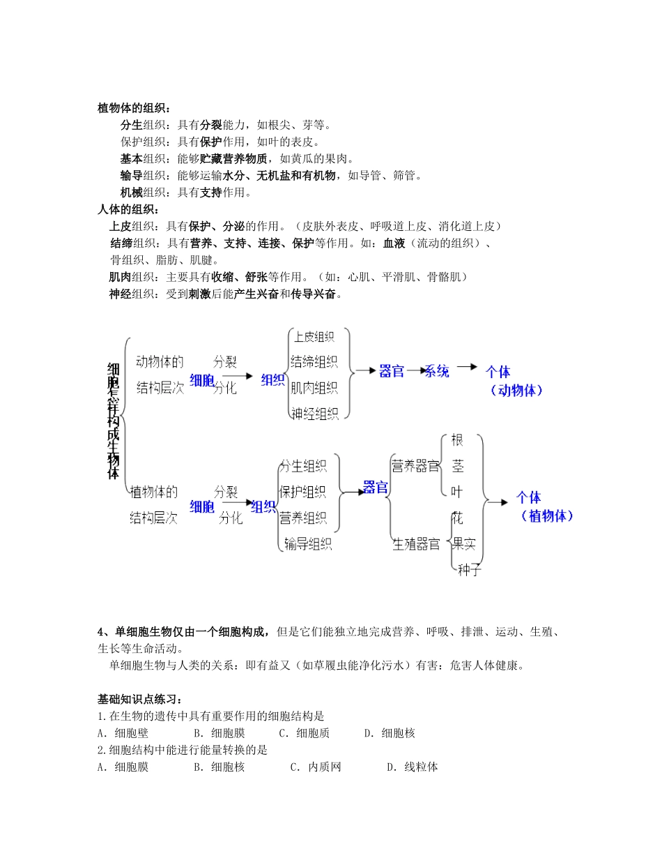 中考生物复习 第二单元 人和动物的结构和功能试卷_第2页