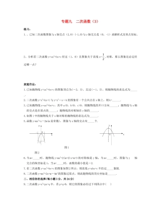 九年级数学 寒假作业 专题九 二次函数(3)试卷