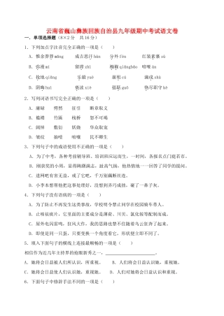 九年级期中考试语文卷试卷