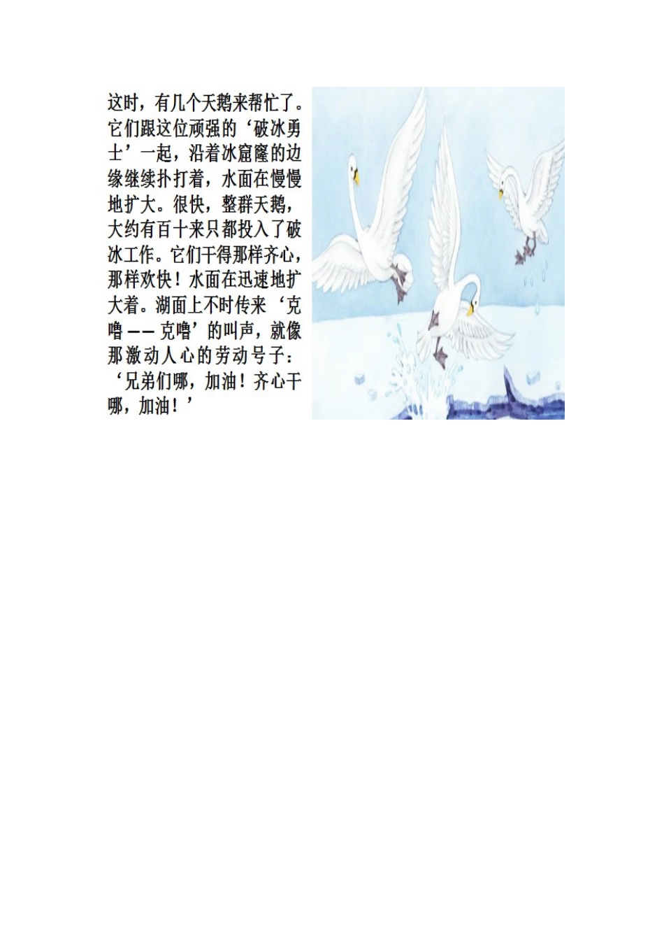 18天鹅的故事_第3页