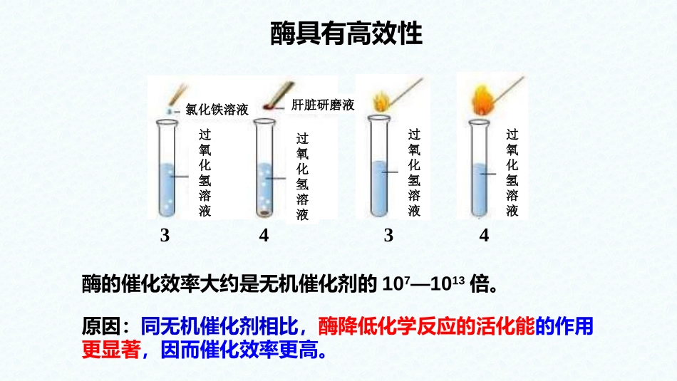 酶与酶促反应_第3页