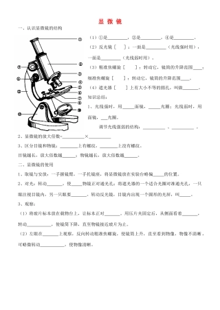 中考生物专题复习 显微镜试卷