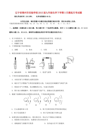 九年级化学下学期3月摸底月考试卷 粤教版试卷