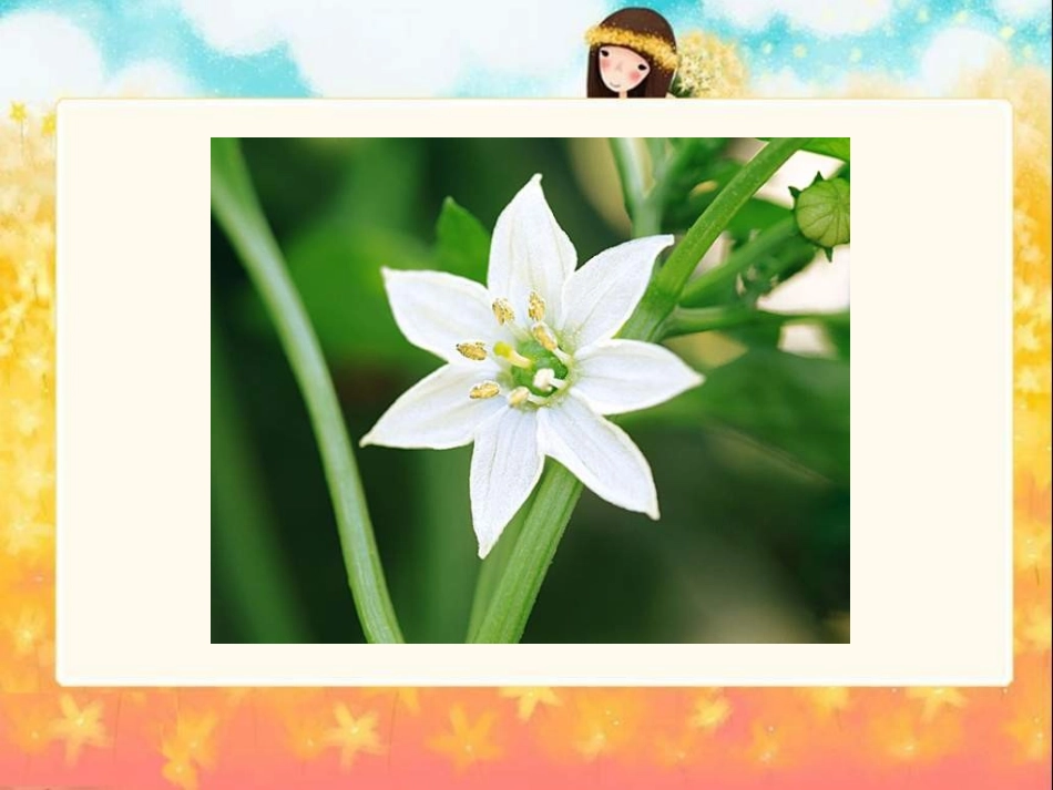 《花之咏》课件2_第3页
