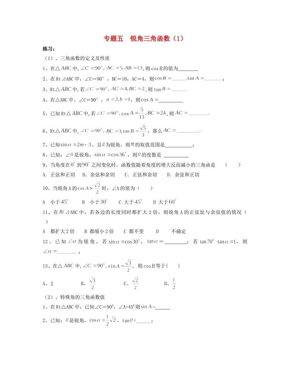 九年级数学 寒假作业 专题五 锐角三角函数(1)试卷_第1页