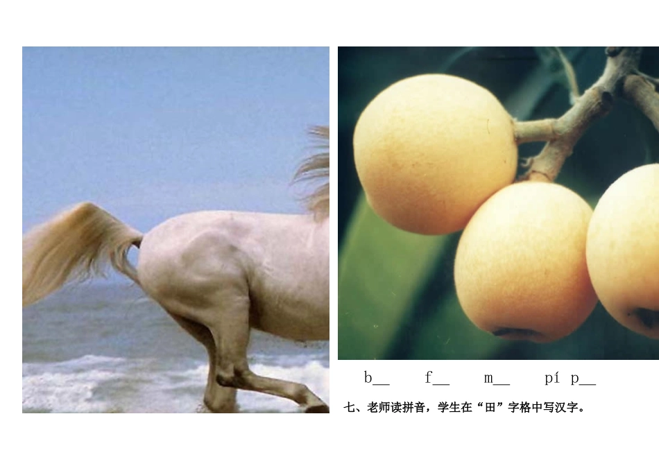 2010年秋学前班语文期中试卷_第3页