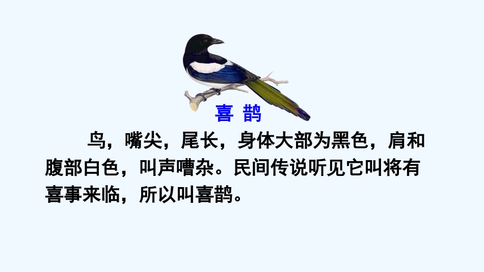 (部编)人教语文2011课标版一年级下册6、树和喜鹊-(2)_第1页
