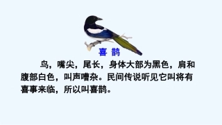 (部编)人教语文2011课标版一年级下册6、树和喜鹊-(2)