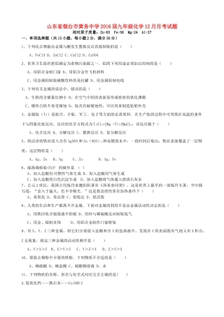 九年级化学12月月考试卷 鲁教版五四制试卷