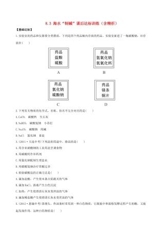 九年级化学下册 83 海水 制碱 课后达标训练(含精析) (新版)鲁教版试卷