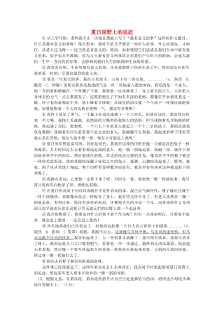 中考语文阅读题复习 夏日原野上的追赶试卷