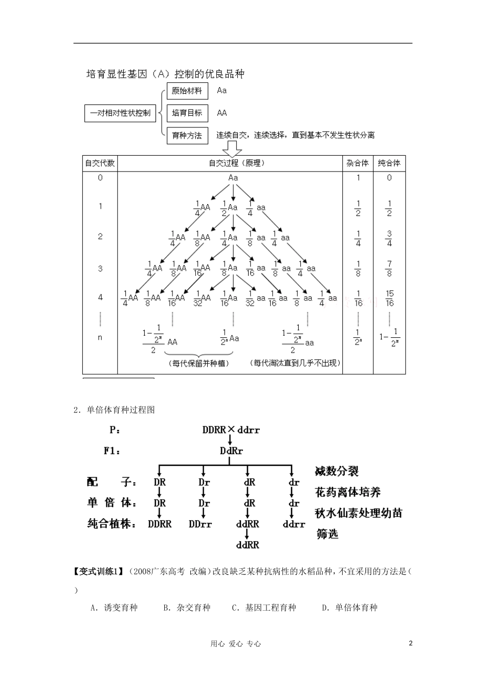 2012高三生物一轮复习-从杂交育种到基因工程导学案-新人教版_第2页