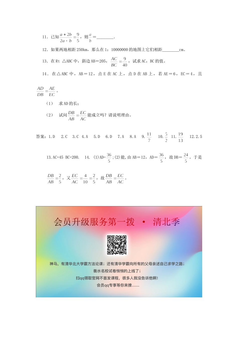 九年级数学上册 第四章 图形的相似 41 成比例线段 第2课时 等比性质课时训练 (新版)北师大版试卷_第2页