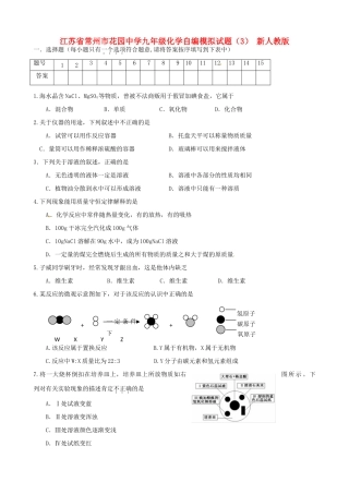 九年级化学自编模拟试卷(3) 新人教版试卷